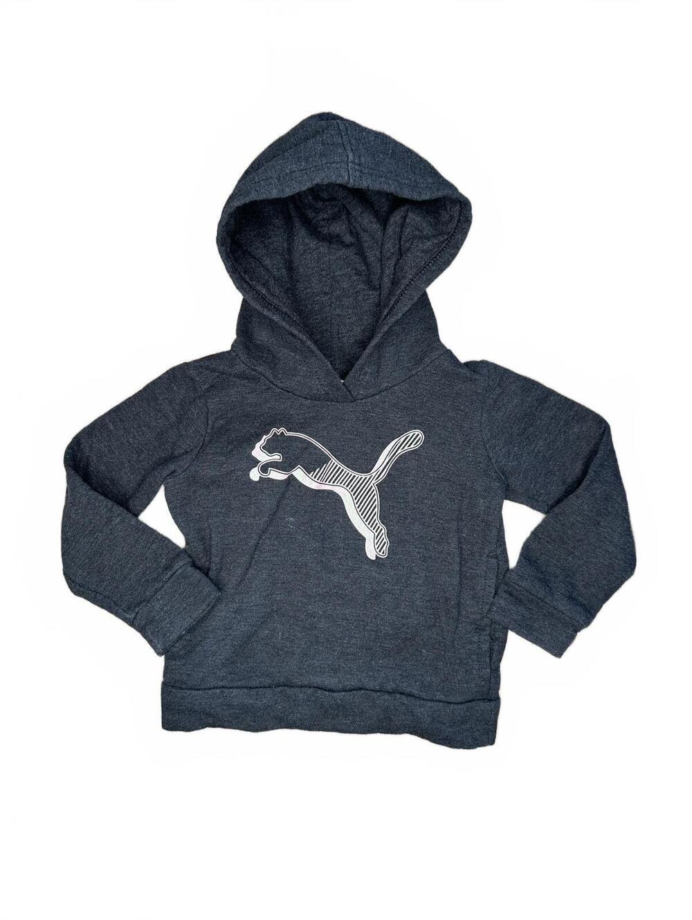 Puma Boys Gray Hooded Sweatshirt